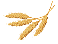 کروسان croissant