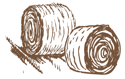 کروسان croissant