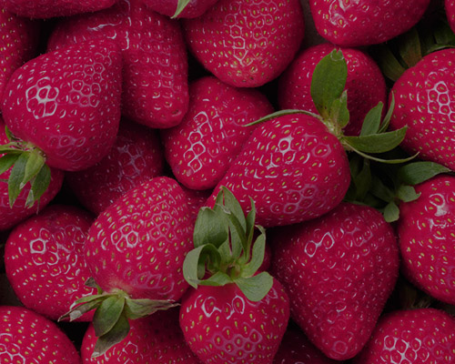 strawberry توت فرنگی