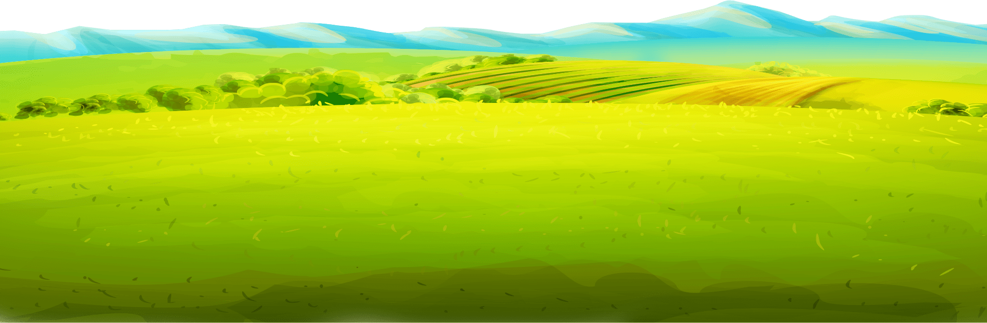 چمن | کرمونا